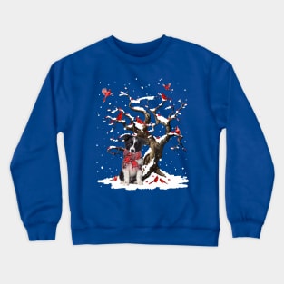 Border Collie Scarf Cardinal Snow Christmas Crewneck Sweatshirt